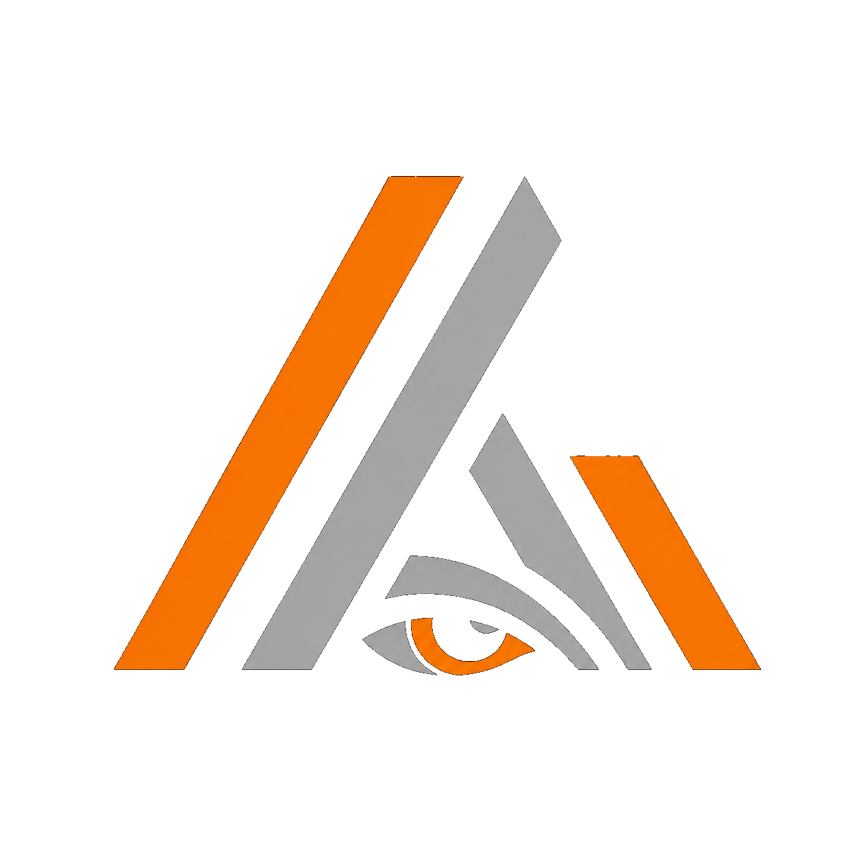 Vision